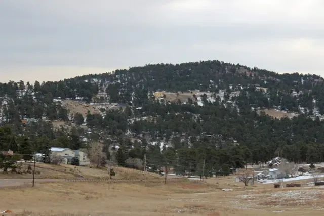 Pine-covered foothills above homes and meadow in Indian Hills