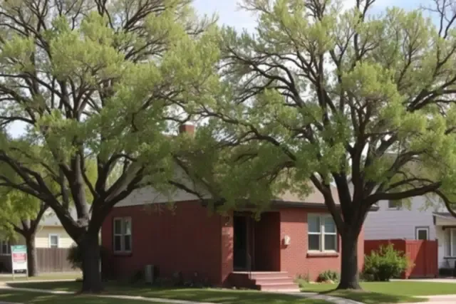 1920s brick bungalow under large old elm trees on a residential street in Sterling